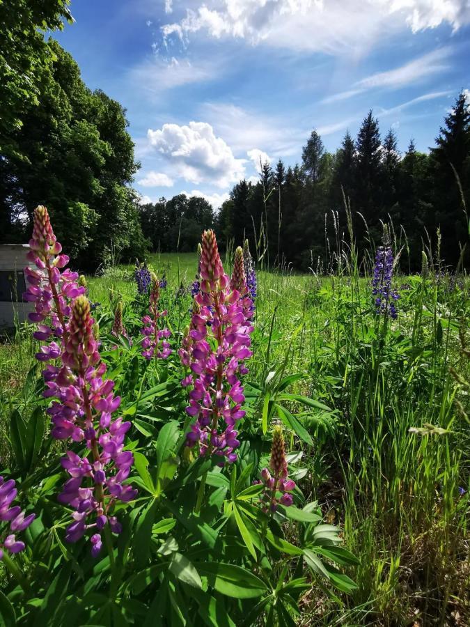 Cyklocamp Pod Landstejnem Hotel Stare Mesto  Kültér fotó