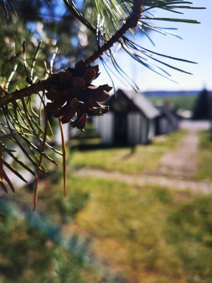 Cyklocamp Pod Landstejnem Hotel Stare Mesto  Kültér fotó